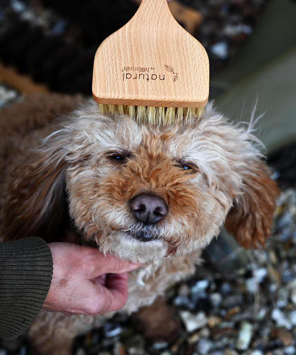 Natural by Hillbrush Angled Pet Grooming Brush - Soft